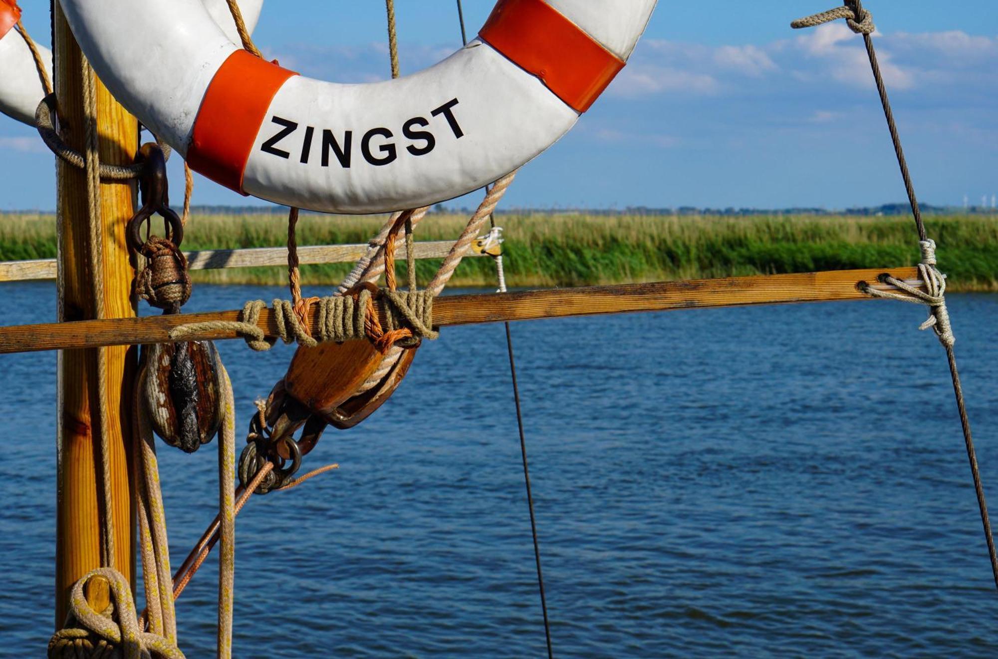 Seehund An Der Seebruecke Zingst Εξωτερικό φωτογραφία