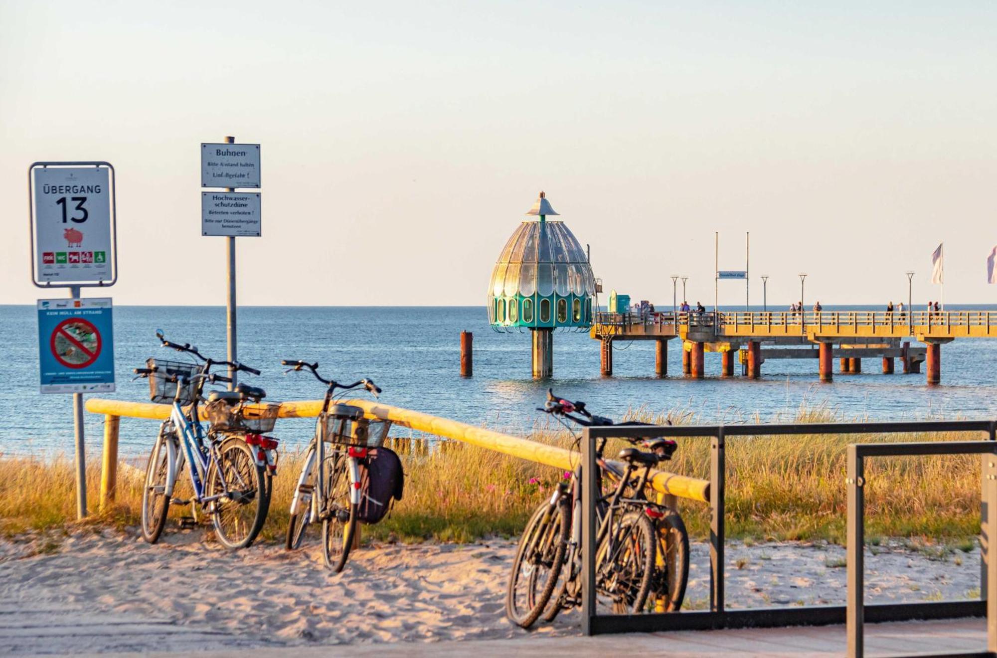 Seehund An Der Seebruecke Zingst Εξωτερικό φωτογραφία